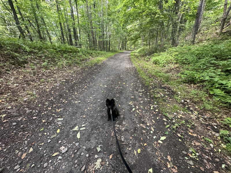 Catskill Scenic Trail with dog on leashe